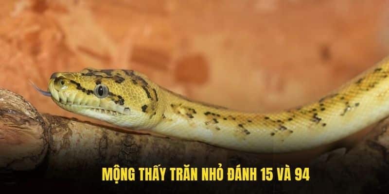 Mộng thấy trăn nhỏ đánh 15 và 94