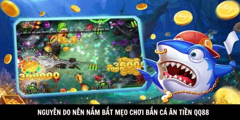 Nguyên do nên nắm bắt mẹo chơi bắn cá ăn tiền QQ88