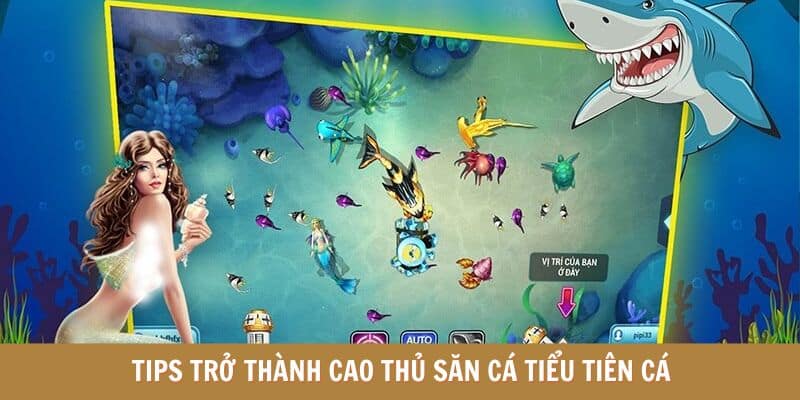 Hướng dẫn tham gia bắn cá trực tiếp tại QQ88